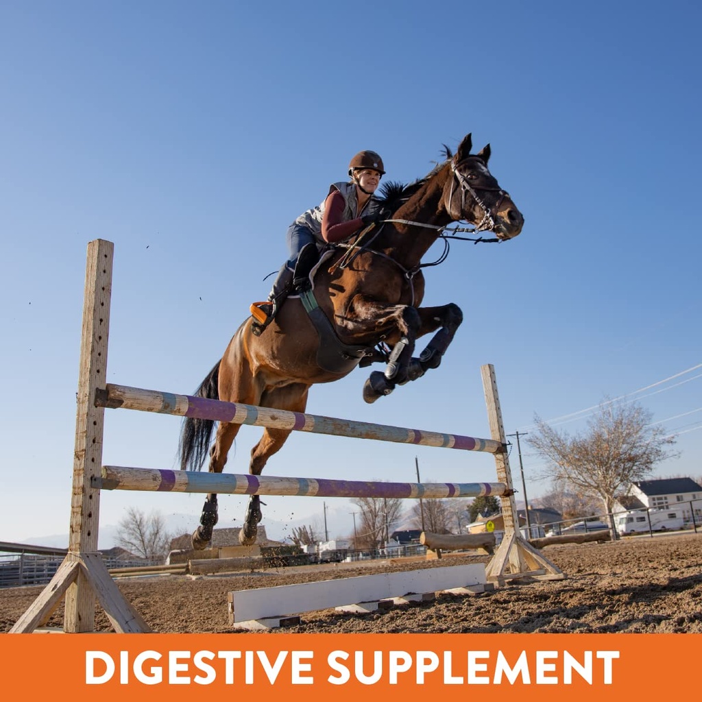 plus-gastric-support-supplement-for-hors-719LE9o93sL.jpg