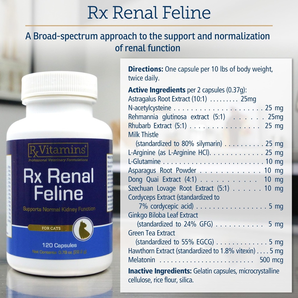 rx-vitamins-renal-feline-cat-kidney-supp-81kuVqO4eHL.jpg