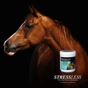 stressless-hot-horse-supplement-60-day-s-61BXkm8j2DL.jpg