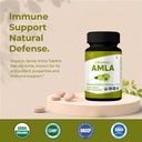 organic-spree-amla-120-tablets-rich-in-v-81XDjCM+EVL.jpg