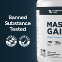 transparent-labs-mass-gainer-protein-pow-61q3+vY5wRL.jpg
