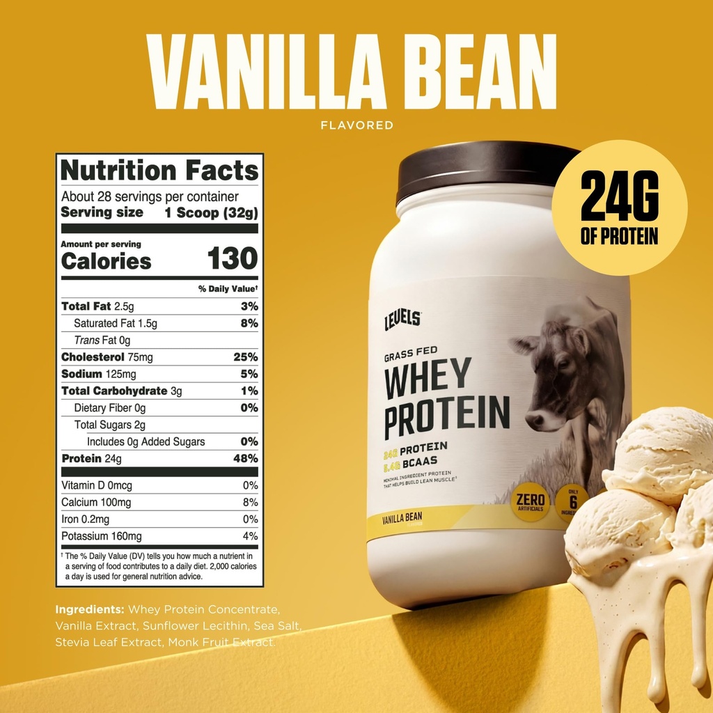 levels-whey-protein-powder-no-artificial-81hNBGx1DwL.jpg