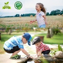 12-pack-mosquito-repellent-bracelets-ind-5.jpg
