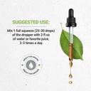 secrets-of-the-tribe---chronic-fatigue-s-3.jpg
