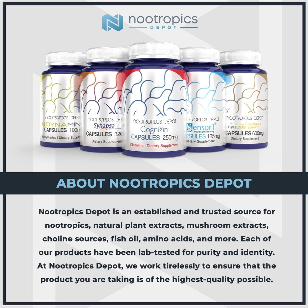 nootropics-depot-acetyl-l-carnitine-powd-4.jpg