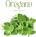 powerful-blend-of-botanicals-candida-pro-4.jpg