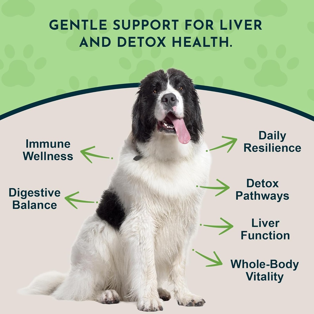 animal-essentials-milk-thistle-for-dogs--2.jpg