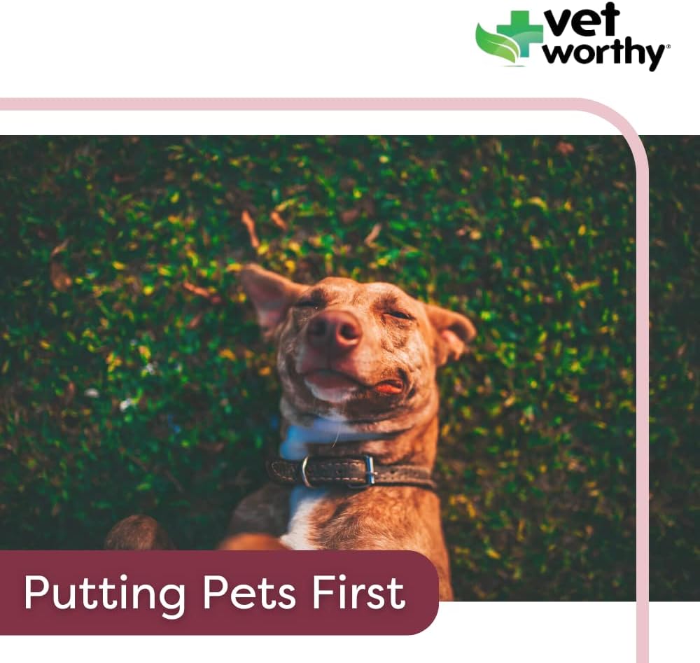 vet-worthy-anti-diarrhea-for-dogs---dog--4.jpg