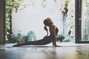 artrifen-60-capsules---glucosamine---cho-3.jpg