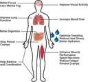 krampade-original-lemon-lime-4k-4000-mg--3.jpg