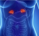 miracle-adrenal-essence-doctors-choice---5.jpg