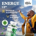 wild-organic-sea-moss-tincture-2-fl-oz-c-4.jpg