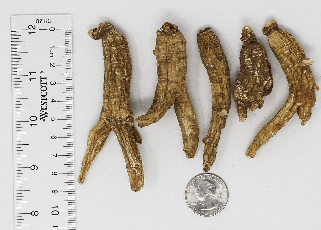 dol-hand-selected-american-wisconsin-far-3.jpg