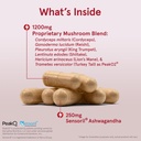 jarrow-formulas-energy-optimizer-with-co-2.jpg