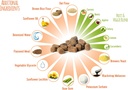 extend-probiotics-for-dogs---digestive-h-3.jpg