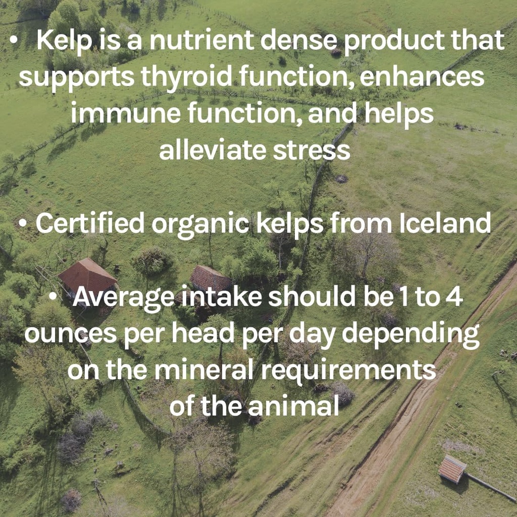 new-country-organics-healthy-sheep-kelp--5.jpg