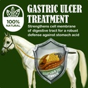 sbs-equine-starting-gate-granules---hors-2.jpg