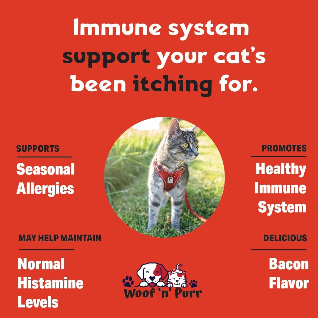 natural-cat-antibiotic---antibiotics-for-3.jpg