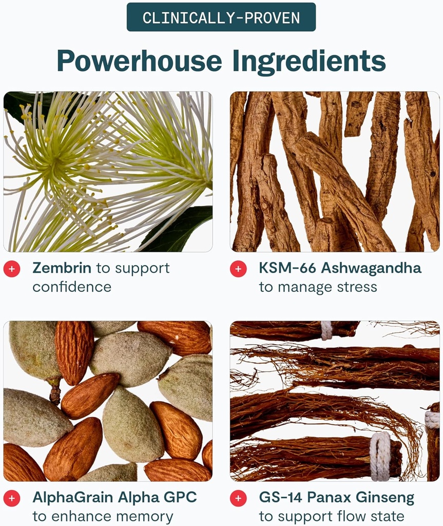 thesis-creativity---nootropic-brain-supp-6.jpg