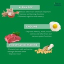 health-logics-focus---brain-supplement-f-6.jpg