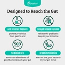 prebiotics-and-probiotics-lactobacillus--5.jpg