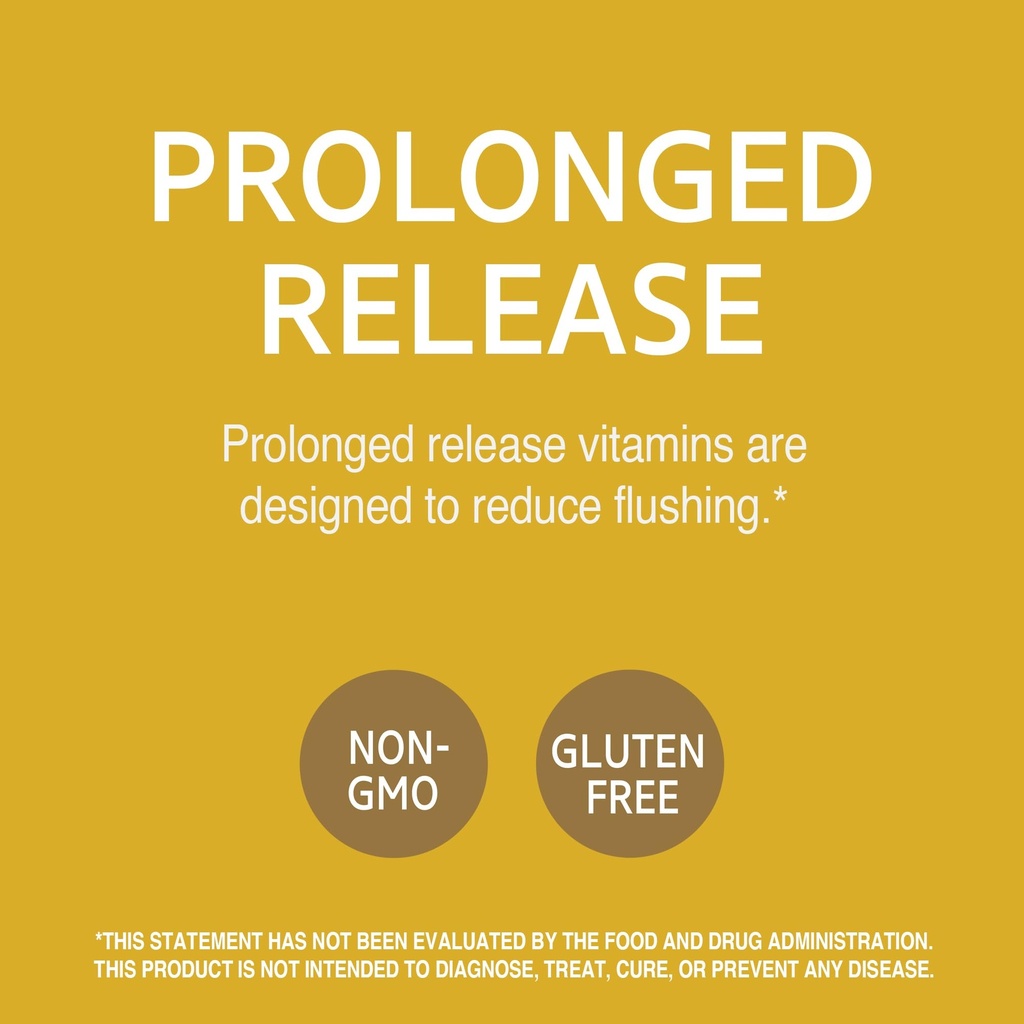 21st-century-niacin-500-mg-prolonged-rel-4.jpg