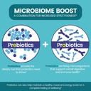zentastic-probiotics-prebiotics-suppleme-4.jpg