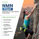 nmn-500-mg-supplement-easily-absorbed-ni-5.jpg