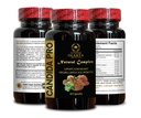 candida-support-complex-candida-may-clea-4.jpg