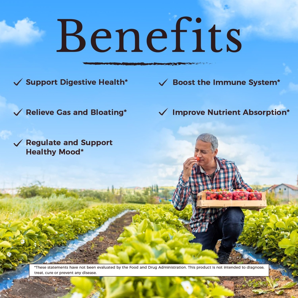 vitalitown-probiotics-120-billion-cfus-3-5.jpg