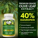 oliveleafmax-olive-leaf-extract-40-oleur-3.jpg
