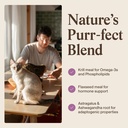 real-mushrooms-cat-supplement-powder-org-4.jpg