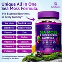 irish-sea-moss-gummies-bladderwrack-burd-2.jpg