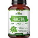 Zazzee Extra Strength Mullein 10: 1 Extract, 3000 mg Síla, 120 Vegan Kapsle, 4 Měsíční dodávky, Standardizované 10X Extract, 100% čistý Leaf Powder, All- Natural a Non- GMO, Made in USA