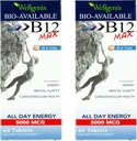Wellgenix Bio- Dostupné sublingvální B12 Max - Vyhovuje vysoké absorpci - Nutritional Multivitamin B12, B6, Folát - Rychlé rozpuštění (60 Ct) 2 Pack