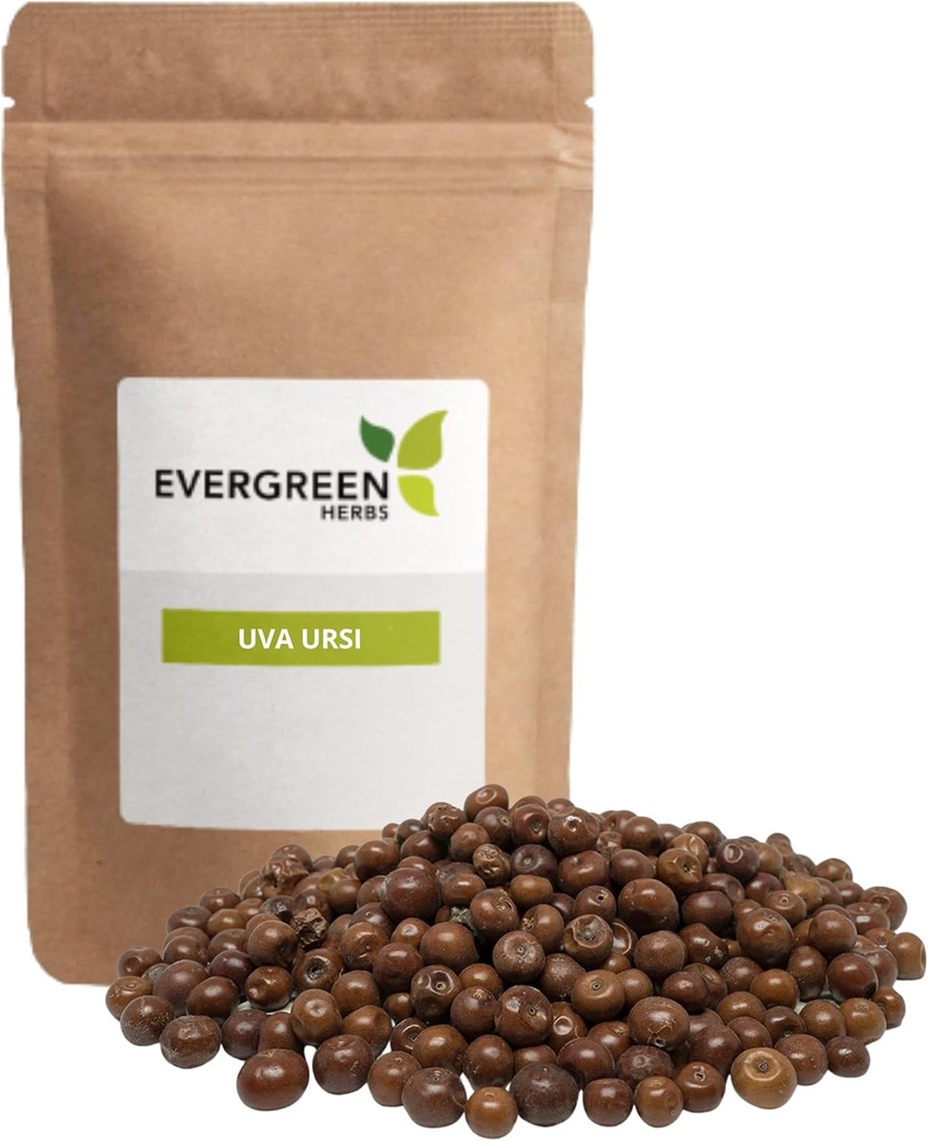 Evergreen Byliny Pinguica Fruto - Uva Ursi Fruit (8 oz.) - Obnovit Stand Up Pouch zajistit čerstvost!