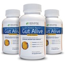 Gut Alive - Všechna přírodní podpora pro boj s IBS, Heartburn, kyselé požití, kyselý reflux, floating & Gas. Unikátní formulace (60 Počet (balení 3))