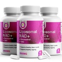 Čistá NAD Resveratrol a TMG, 2000mg, 3 in 1 Advanced Formule, Imunitní a energetická podpora, Kůže a celkové zdraví, 60 Kapsle