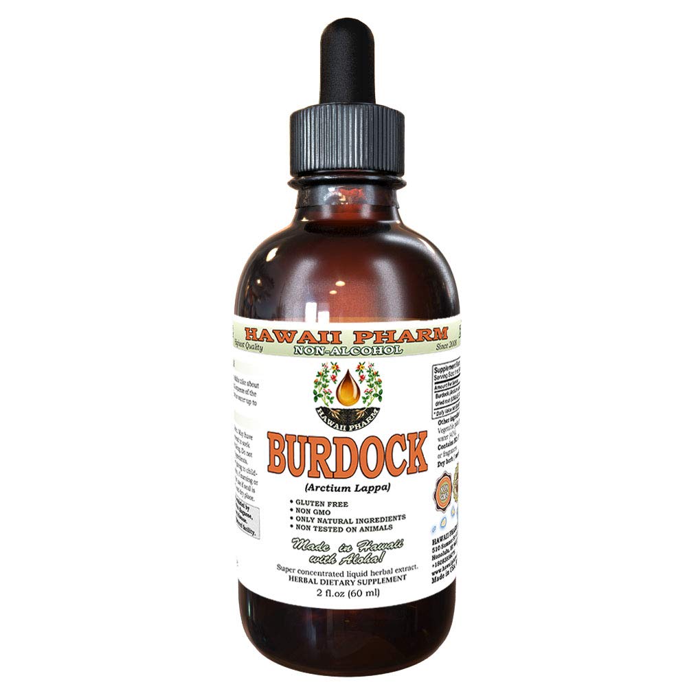 Burdock Alcohol- Free Liquid Extract, Organic Burdock (Arctium Lappa) Sušený Root Glycerite Hawaii Pharm Natural Bylinný doplněk 2 oz