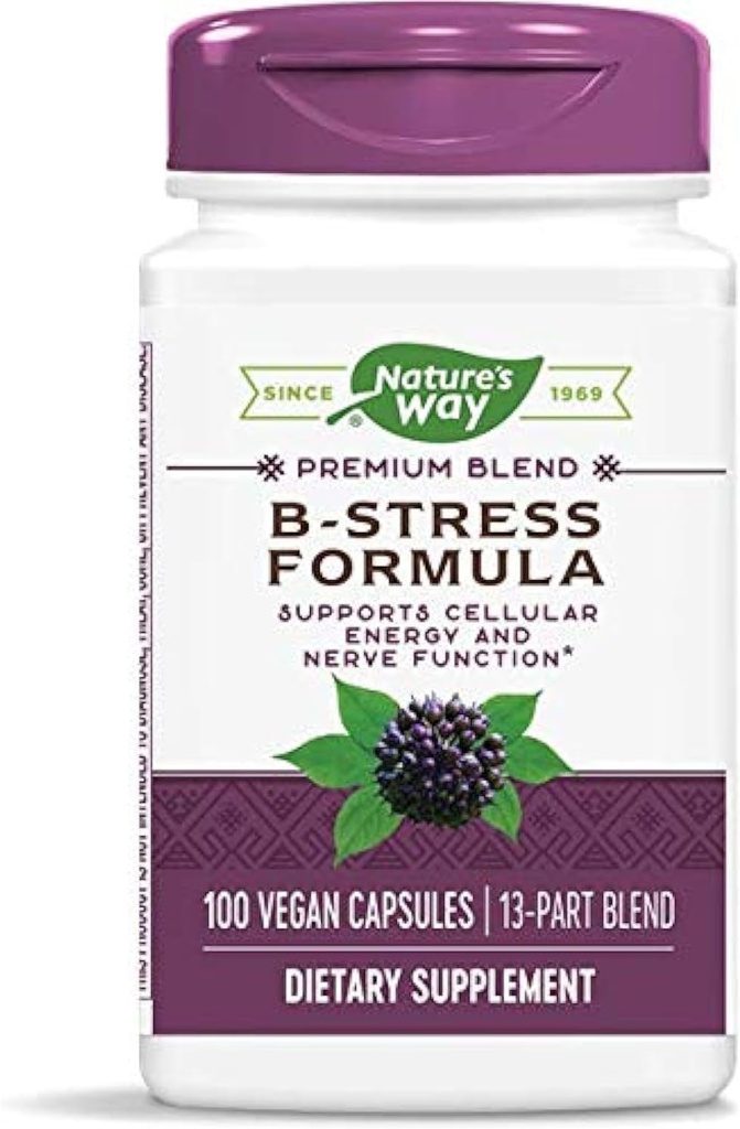 Natures Way B-Stress Formule 100vegcp (Balení po 2)