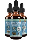 Rejuvica Zdravotní NerveFactor - Pokročilý Nerve Supplement - Liquid Delivery for Better Absorption - Acetyl- L- Carnitin, Alpha Lipoic Acid, Vitamin B12, Kyselina listová, White Willow Bark & Více!