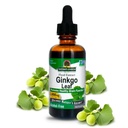 Příroda odpověď Alcohol- Free Ginkgo Leaf 2000mg 2oz extrakt 124; Stimuluje paměti, Mood & Koncentrace clar124; Gluten- Free, Kosher Certified & No Preservatives Crandu124; Single Count