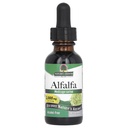 Příroda odpověď Alfalfa Herb Extract, 1- Fluid Ounce podporuje imunitní systém, krev, trávení, energetické hladiny - Pomáhá s detoxikací