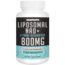 Lipozomální NAD + 800 mg s Trans- Resveratrolem 300 mg, Max Absorpce, Skutečná NAD + Zvýšení doplněk pro zdravé stárnutí, celulární energie, opravy DNA, dlouhověkost - 60 Softgels