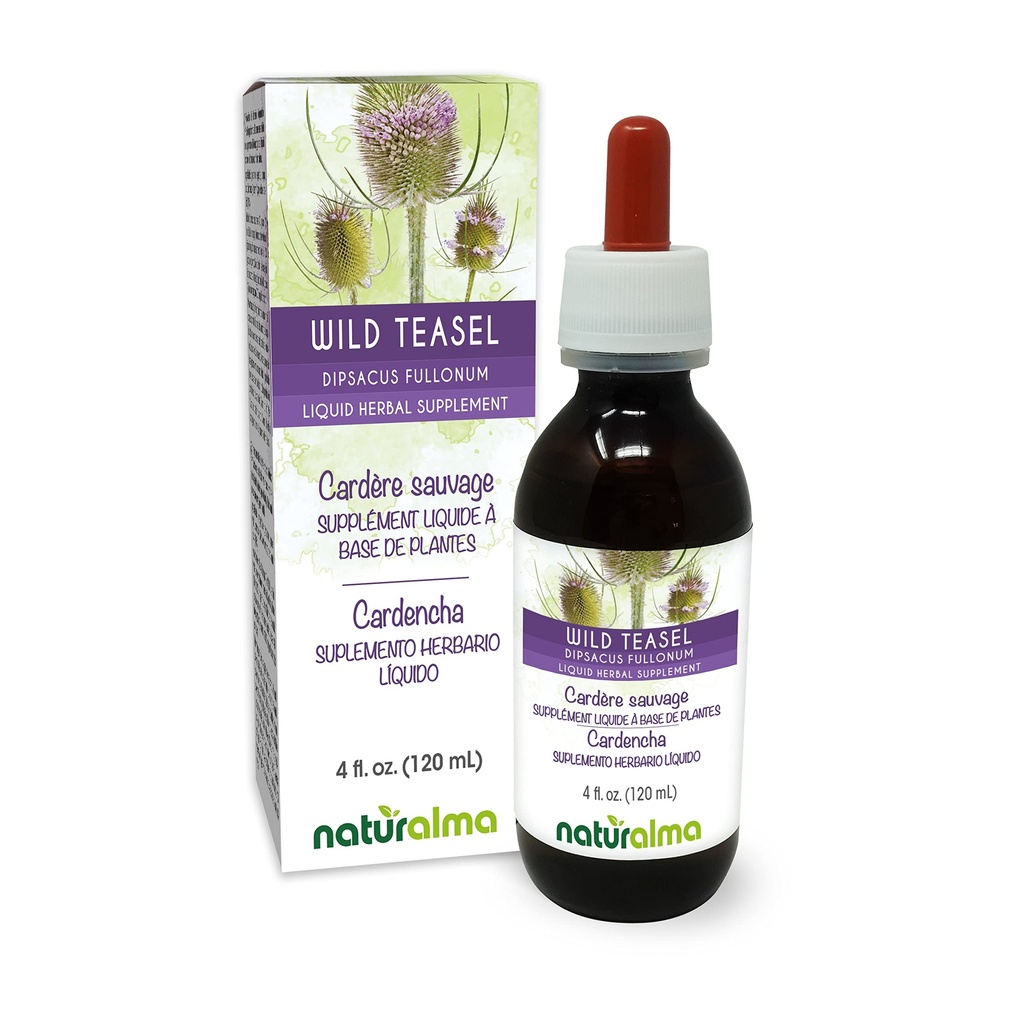 Naturalma Wild Teasel nebo Fuller 's Teasel (Dipsacus fullonum nebo D. sylvestris) Root Alcohol- Free Tincture - 4 fl oz Liquid Extract in Drops - Bylinný dodatek - Vegan