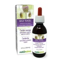 Naturalma Wild Teasel nebo Fuller 's Teasel (Dipsacus fullonum nebo D. sylvestris) Root Alcohol- Free Tincture - 4 fl oz Liquid Extract in Drops - Bylinný dodatek - Vegan