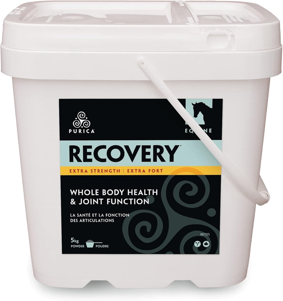PURICA Recovery Extra Strength - Koňský společný dodatek - Komplexní podpora koní - Ideální společný dodatek pro starší koně, MSM Powder Included - 11 liber