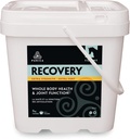 PURICA Recovery Extra Strength - Koňský společný dodatek - Komplexní podpora koní - Ideální společný dodatek pro starší koně, MSM Powder Included - 11 liber