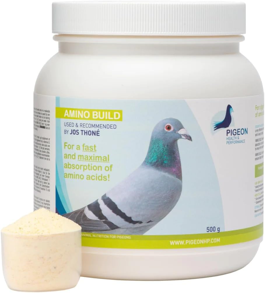 Generické PHP Amino Build 500g - Muscle-Building Amino Acids Pigeon Health & Performance