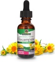 Nature 's Answer Elecampane Root s organickým alkoholem, 1-Fluid Ounce